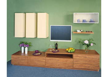 Möbel "Olive und Safari" Wohnraummöbel